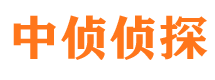 秦都侦探公司